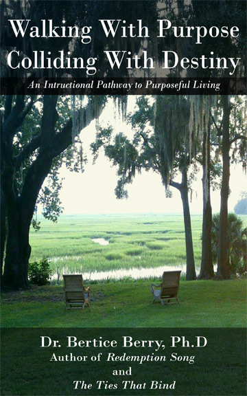 Dr. Bertice Berry Walking With Purpose book jacket